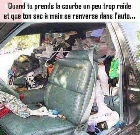 le sac à main.jpeg