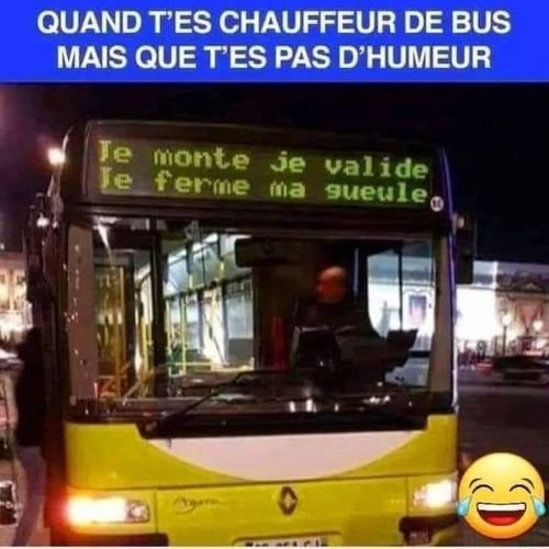 le bus .jpeg