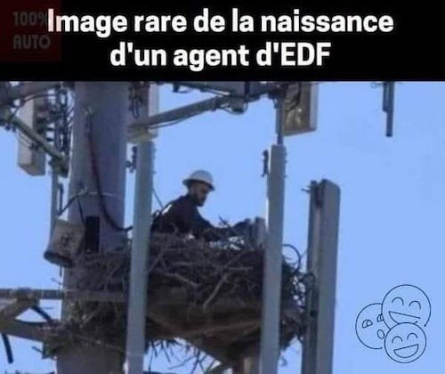 naissance d'un agent EDF.jpeg