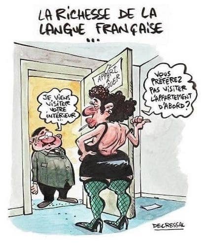 les richesses de la langue française.jpeg
