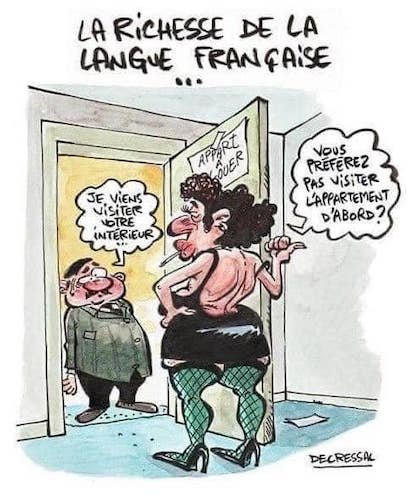 les richesses de la langue française.jpeg