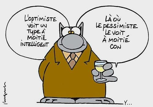 L'optimiste.jpeg