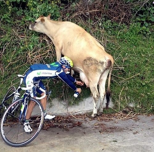 quand le cycliste ne trouve pas de robinet d'eau.jpeg