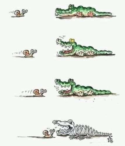 l'escargot et le crocodile.jpeg