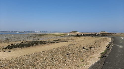 012 île Callot.jpeg