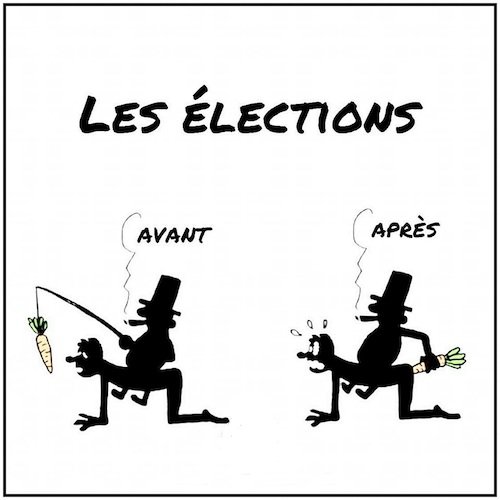 Les élections.jpeg