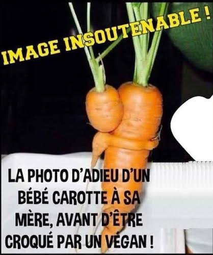 image insoutenable.jpg