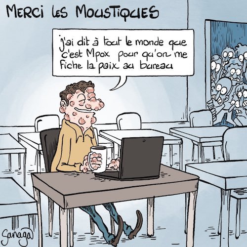 Merci les moustiques.jpg