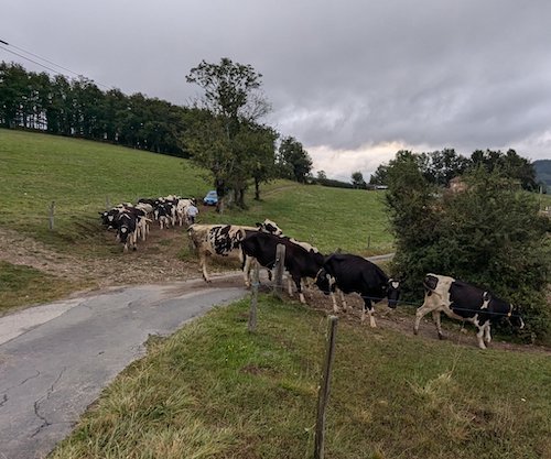 Fin des vacances, c'est le retour des bouchons.jpg