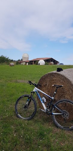 06 Fermette se préparant à la guerre des étoiles.jpg