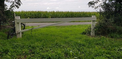 14 sortie du chemin de la forêt.jpg