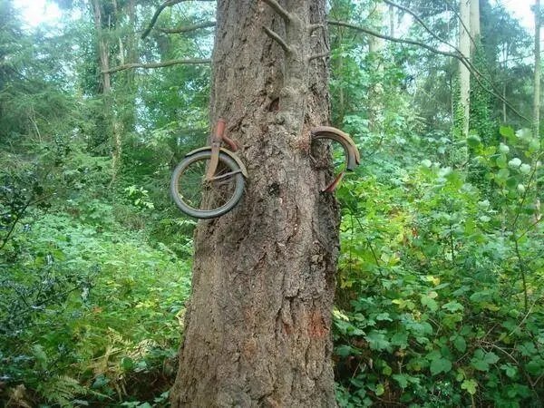 vélo accroche à un arbre.jpg