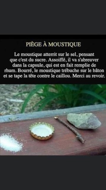 Piège à moustique .jpeg