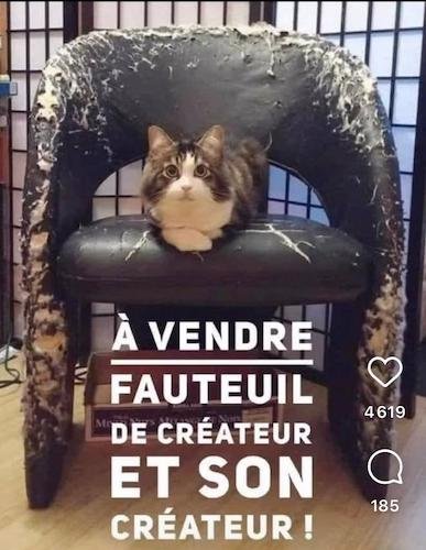 Fauteuil à vendre.jpg