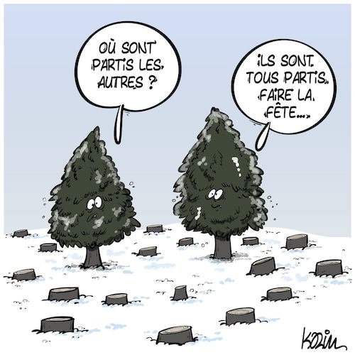 sapins de Noël.jpg