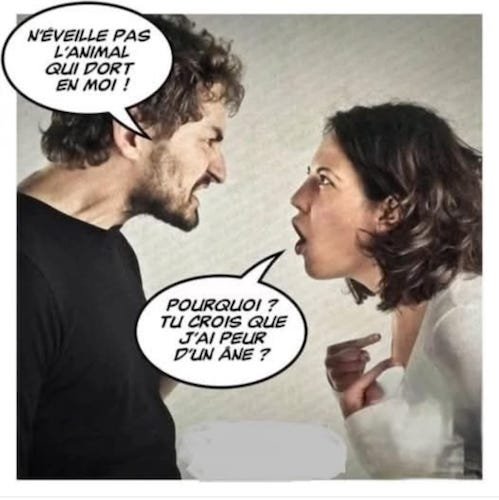 L'animal qui est en moi.jpg