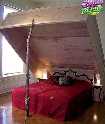 Le piège n'a pas fonctionné.jpg