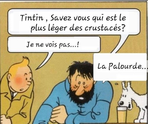 le plus léger....jpg