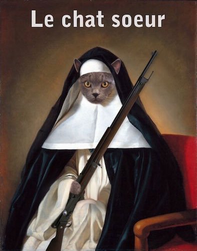 le chat soeur.jpg