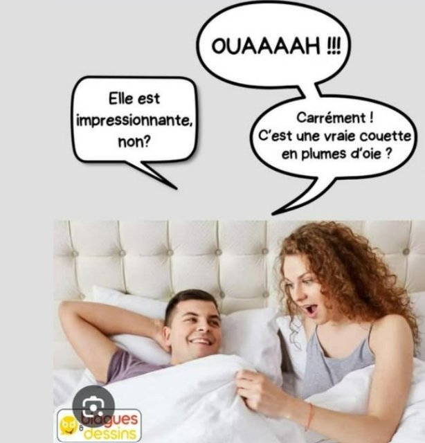 RIONS A1aA1Aa91e.jpg