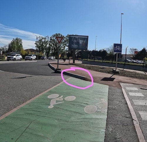 Photo Cycliste Toulousain.jpg