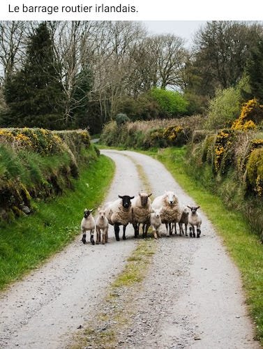 Barrage routier .jpg