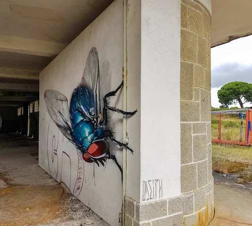 peinture de Sergio Odeith.jpg