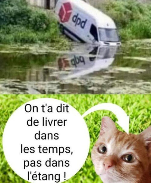 RIONS A1aA1Aa991a.jpg