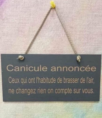 canicule.jpg