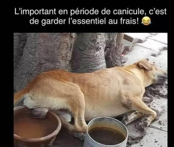 RIONS A1aA1Aa990a1.jpg