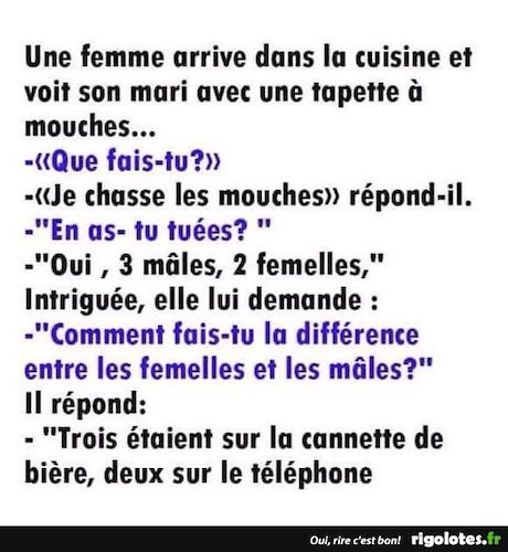 histoire drôle.jpeg