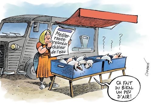 le changement climatique.jpeg