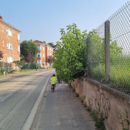 Photo François Demonaco.jpeg