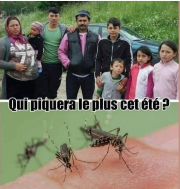 RIONS A1aA1Aa990a1aA1a1.jpg