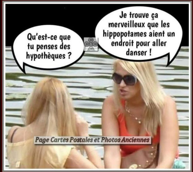 RIONS A1aA1Aa990a1aA1a.jpg