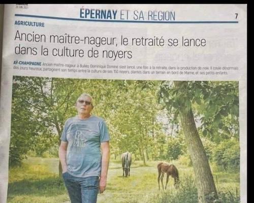 Culture des noyers.jpg