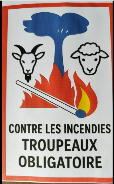 RIONS A1aA1Aa990a1a.jpg