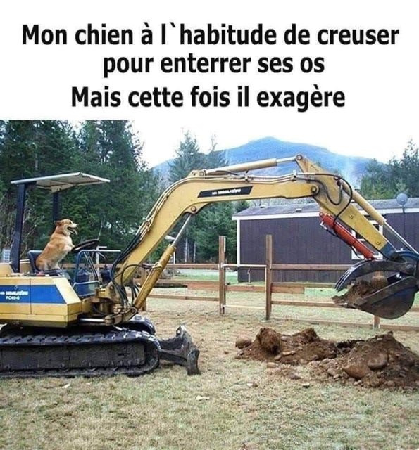 Les os de mon chien.jpg