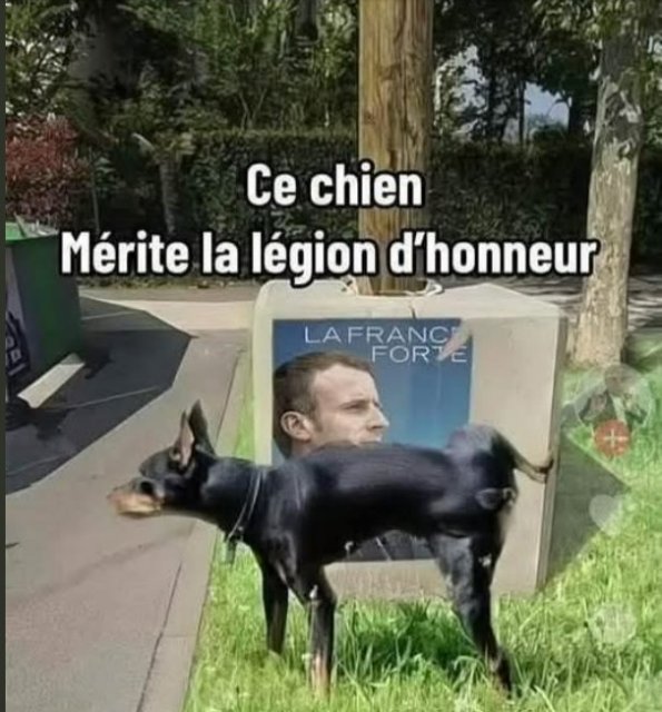 RIONS A1aA1Aa990a1aA1a1a.jpg