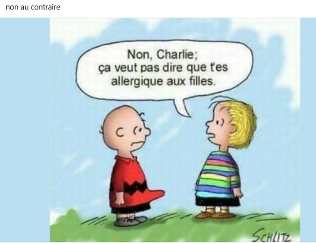 RIONS A1aA1Aa990a1aA1a2.jpg