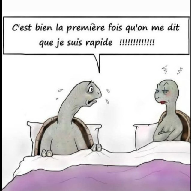 RIONS A1aA1Aa999A.jpg