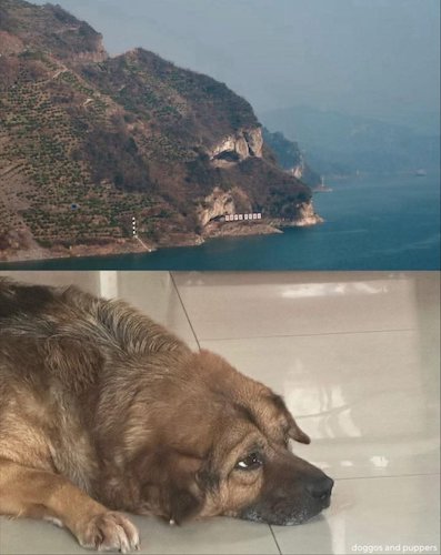 La photo du jour.jpg