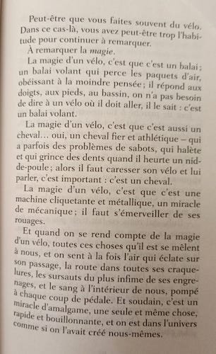 Les petites reines.jpg