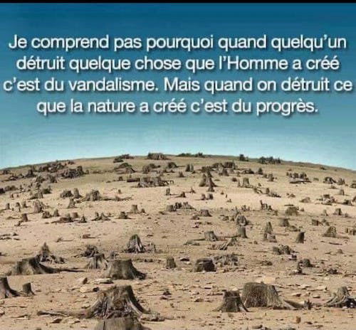 citation de Ed Begley Jr.jpg