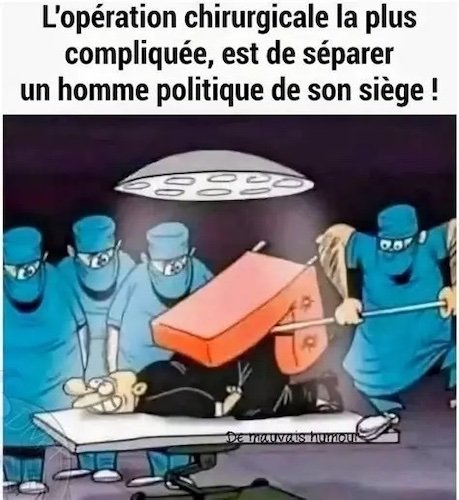 L'homme politique.jpg