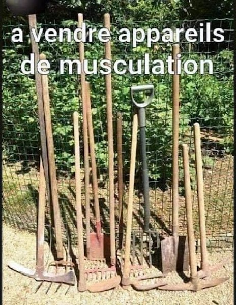 Appareils de musculation.jpeg