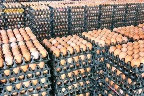 Laurent Nunez est venu féliciter les douaniers pour leur superbe prise dans un hangar antifa.jpg