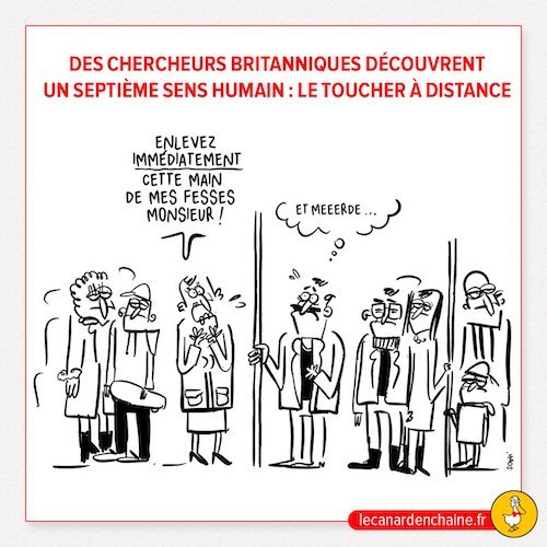 le 7ème sens humain.jpg