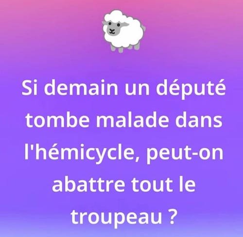 abattre tout le troupeau.jpg