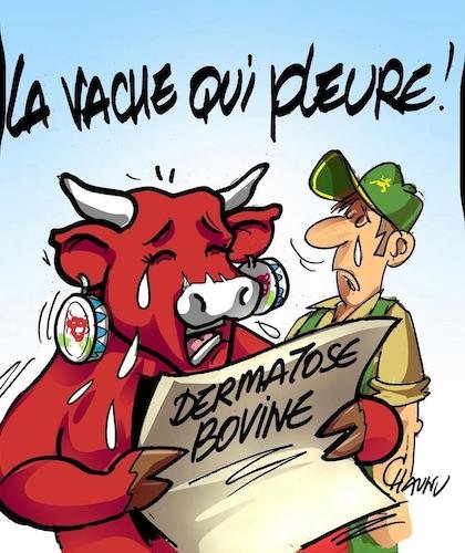 Envoyé par Gaby.jpg